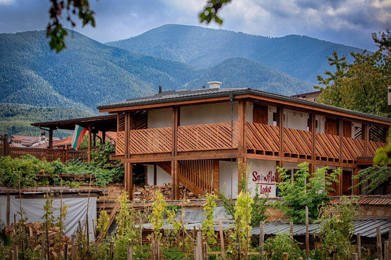 Къщи За Гости Сноуфлейк Snowflake Chalet And Snowflake Lodge バンスコ エクステリア 写真