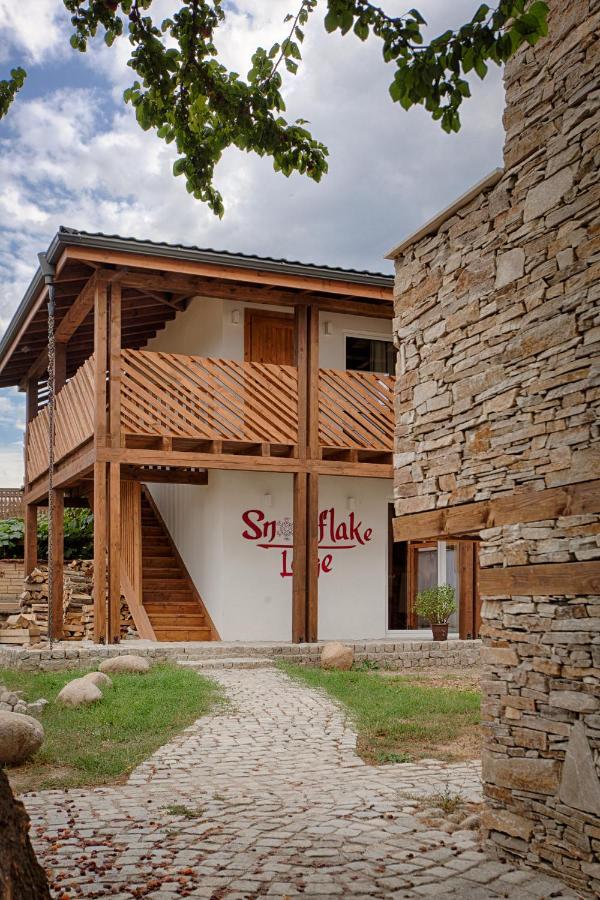 Къщи За Гости Сноуфлейк Snowflake Chalet And Snowflake Lodge バンスコ エクステリア 写真